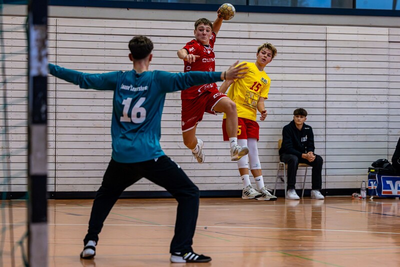 d241109_1751_ZR5_4487_HBLB_mB1.jpg