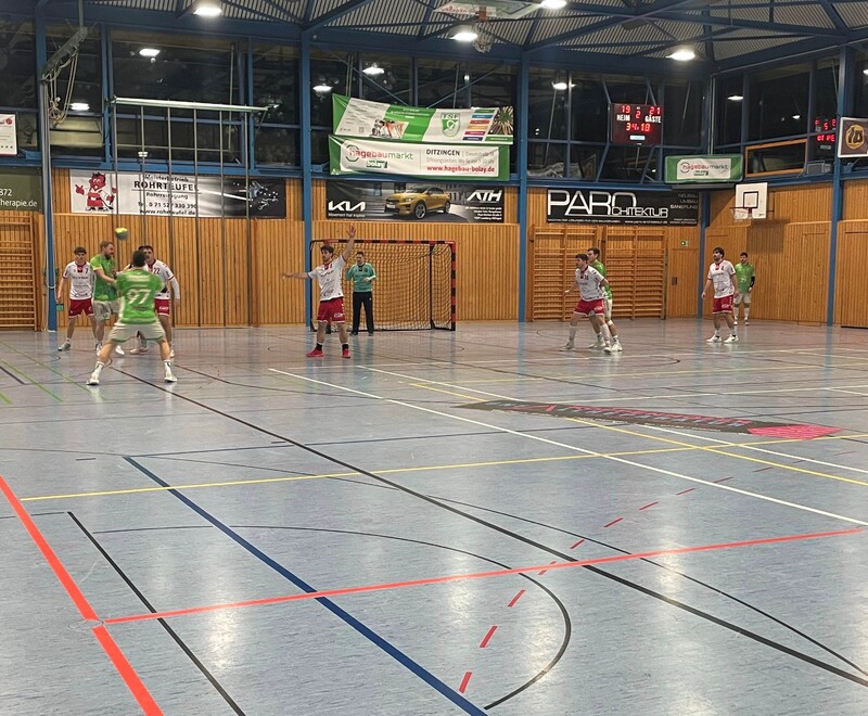 TSFDitzingenHR